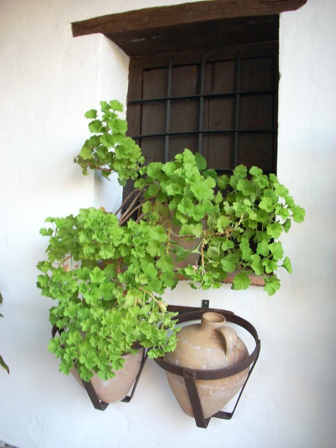 Cortijo Don Pablo